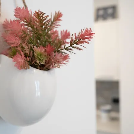 Apartman Light Stadium