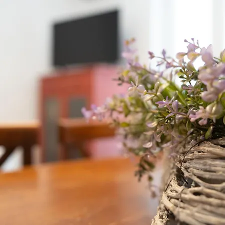 Apartament Light Stadium *